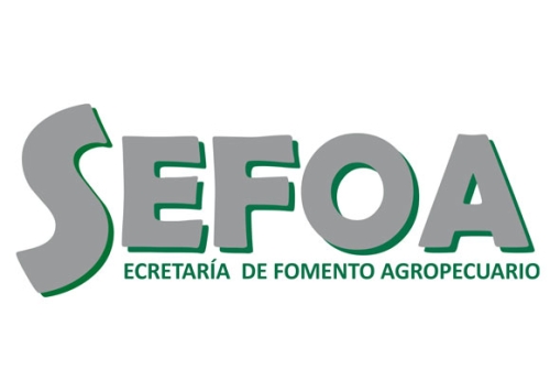 sefoa